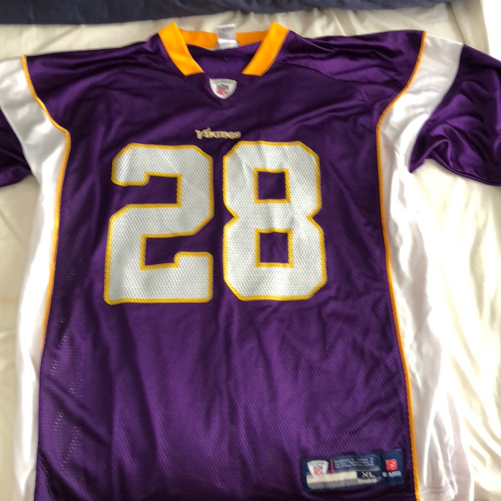Minnesota vikings